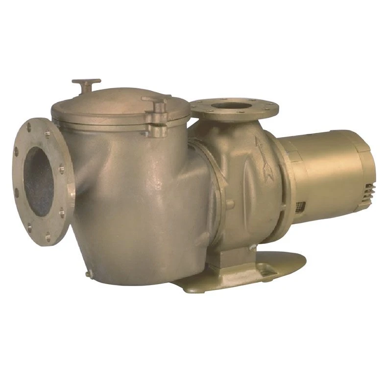 Pentair Commercial Bronze C-Series Inground Pool Pumps With Hair And Lint Pot